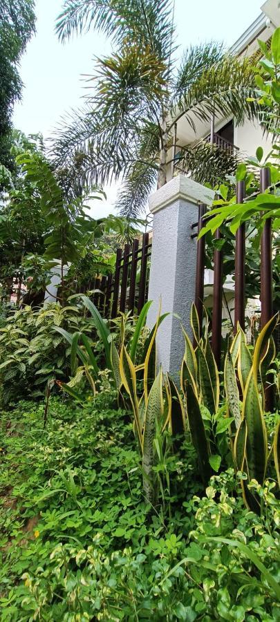 Layang Layang Home El Nido Buitenkant foto